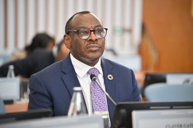 A Premium is What Africa Pays for Poor Credit Perception