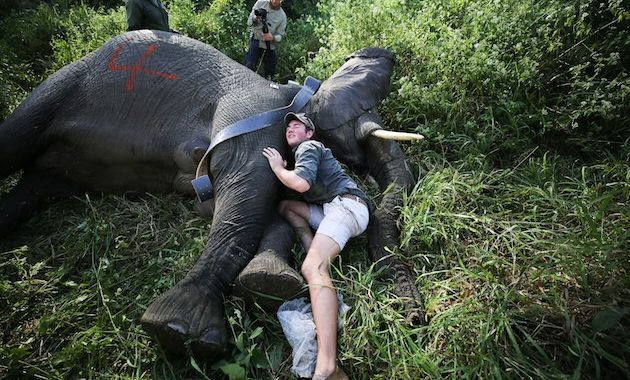 Nations pledge $3.9bn to Global Environment Facility as Race to Meet 2030 Goals Tightens