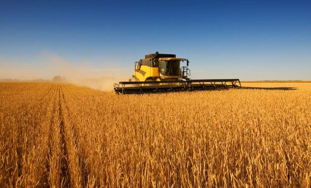 The War in Iran Isn’t Just Raising Food Prices — It’s Revealing Who Really Sets Them