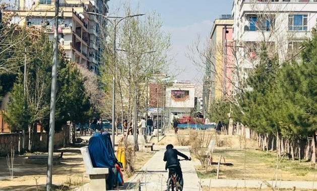 No Bones Broken, No Crime Committed: Inside the Taliban’s New Rules on Violence Against Women