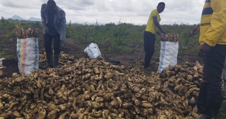 Cleaning Up the Fields: Across Africa and Asia GEF is Helping Farmers Rewrite Their Pesticide Story