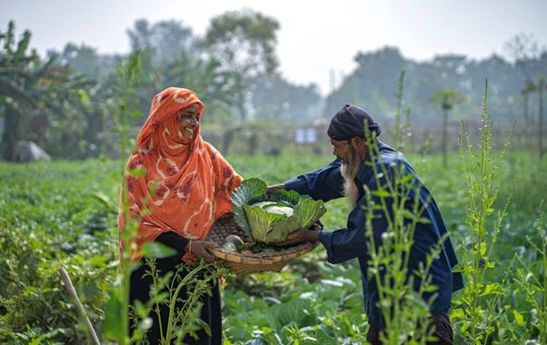 Building Resilient Food Systems in an Age of Disruption
