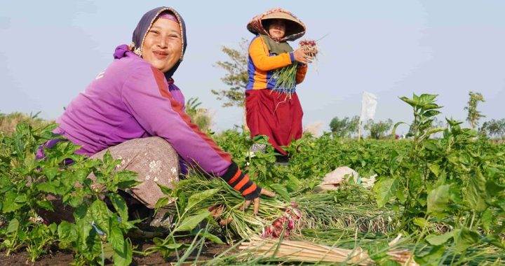 ‘Real impact on the ground’ needed as Indonesia backs UN reform