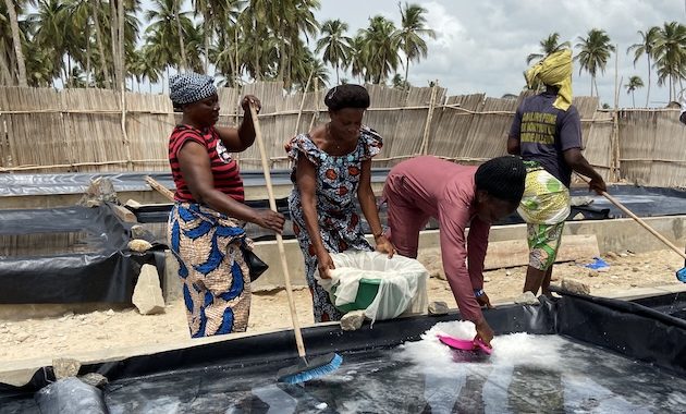 In West Africa’s Benin, Women Make Centuries-Old Salt Production Methods Sustainable