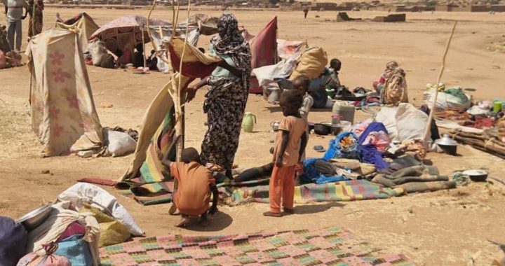 Sudan: Security Council warns of mass atrocity risk in El Obeid