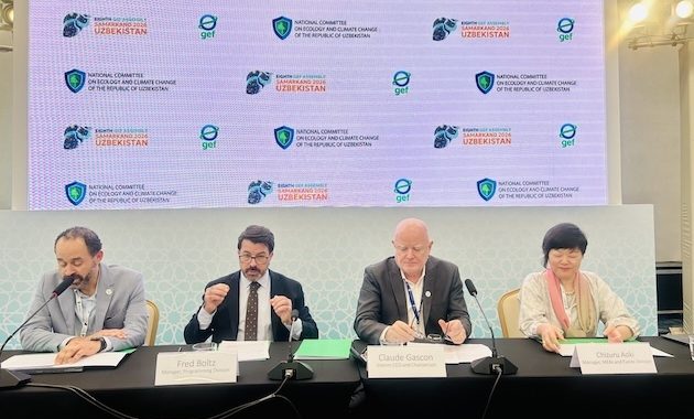 GEF Pushes Innovation, Blended Finance Ahead of the Eighth Assembly