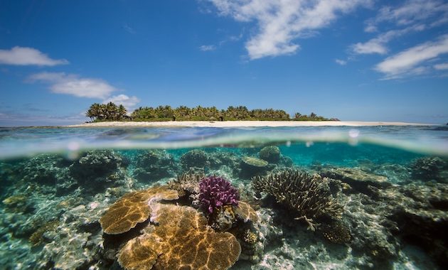 Human-Caused Climate Change, Not El Niño, Drives Most Coral Bleaching Events – Research