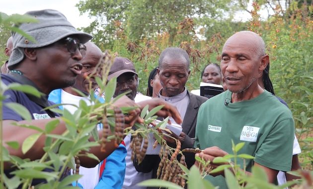 How Farmers Are Learning About Restoring Soils and Scaling Agroecology in Kenya