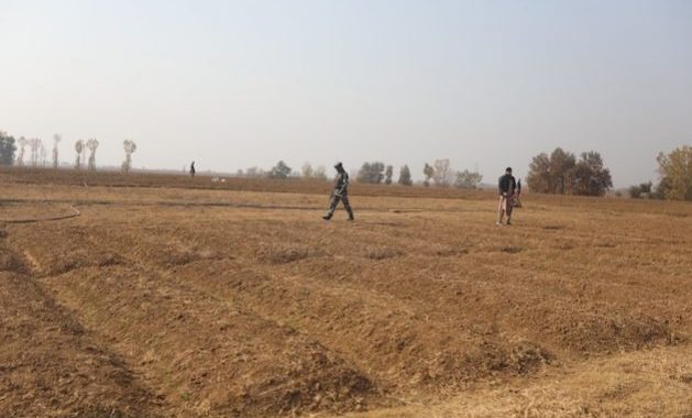 Preparing Agriculture for a New Era of Extreme Weather