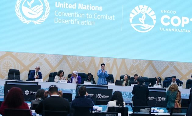 Africa’s Pastoralists Need More Than COP17’s $1.2 billion Rangelands Pledge