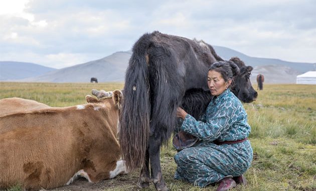 The Year of Pastoralists Must Be More Than Symbolic