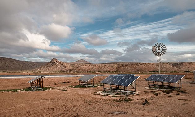 Africa Has the Technology to Achieve Food Security—Now It Needs Coordinated Deployment