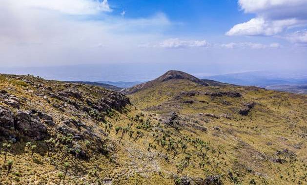 Africa’s Rangelands Are the Frontline of Resilience – COP17 Showed Why