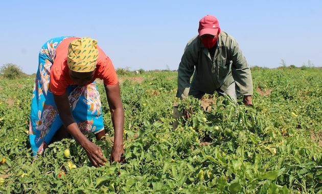 Workers Helping Feed the World but Starved of Dignity
