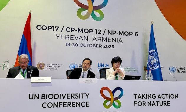 New Biodiversity Pledges Emerge at COP17, But Funding Gap Persists