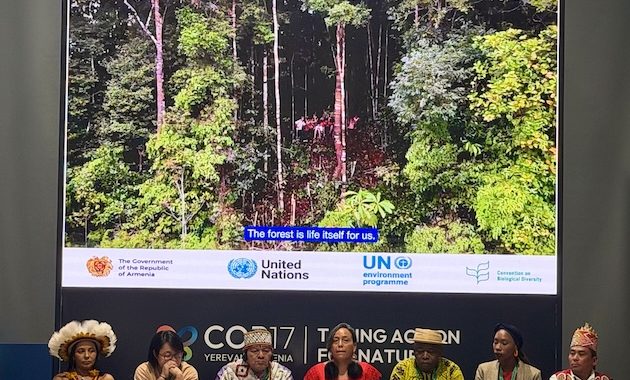 COP17 Celebrates Indigenous Leaders Amid Demand for Greater Inclusion in Biodiversity Decisions