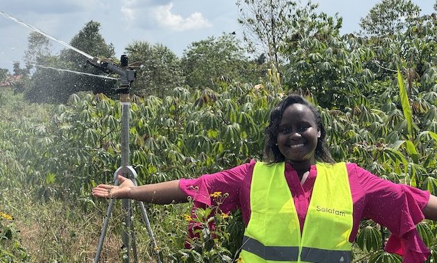 Renewables, Farmer Aggregation Offer Solutions to Africa’s Post-Harvest Losses