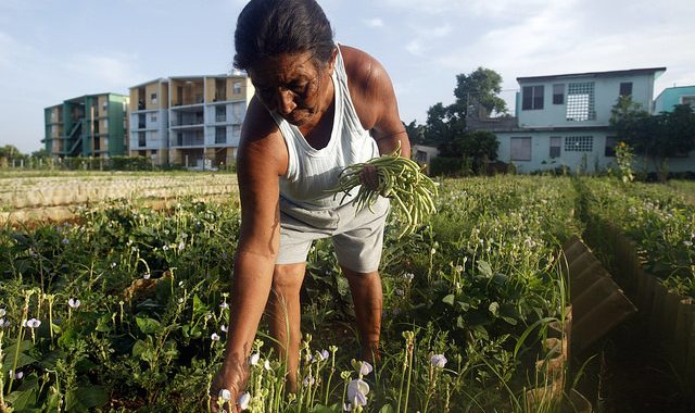 Green Cities Can Make Room for New Homes and the Farms That Feed Them